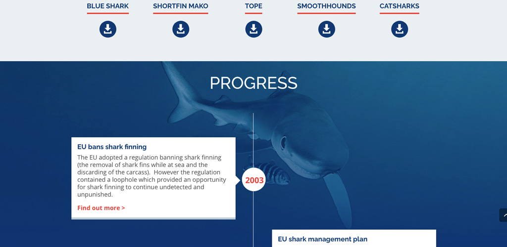 ST-1024x500-1 Shark Trust No Limits No Future image