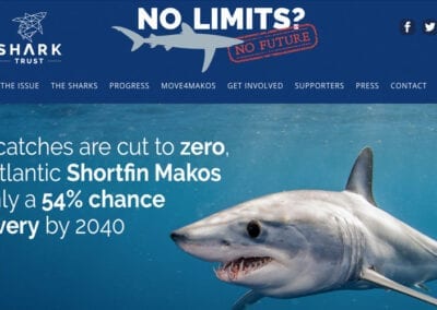 WordPress website for Shark Trust ‘No Limits’ campaign