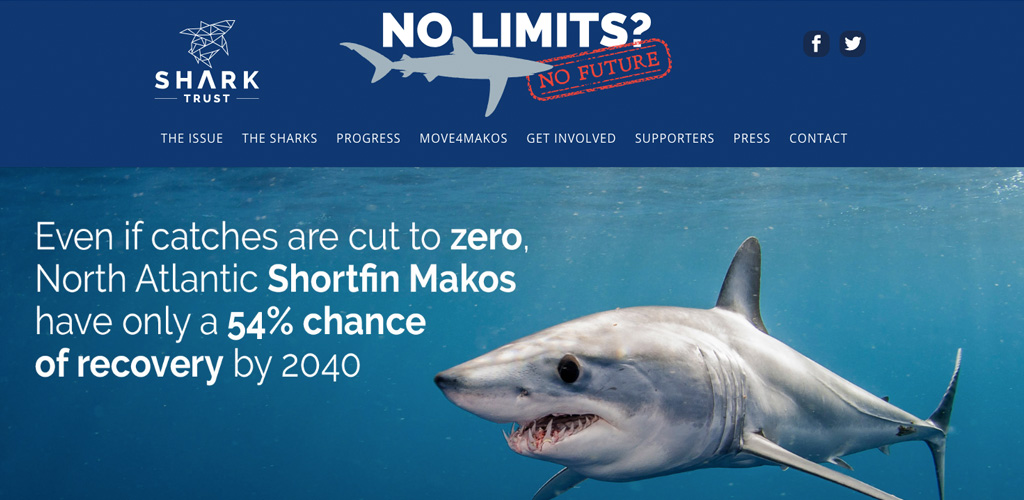 ST-1024x500 Shark Trust No Limits No Future website image