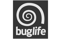 Buglife Buglife