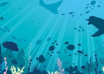 Wall art illustration for the National Marine Aquarium