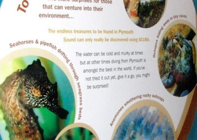 Exhibition display design for National Marine Aquarium