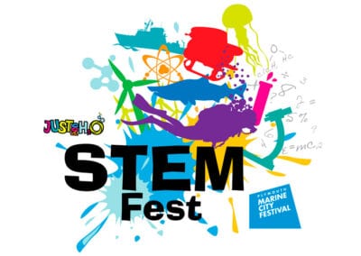 Logo design for StemFest festival