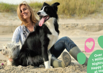 Email Newsletter Design for Trusted Housesitters