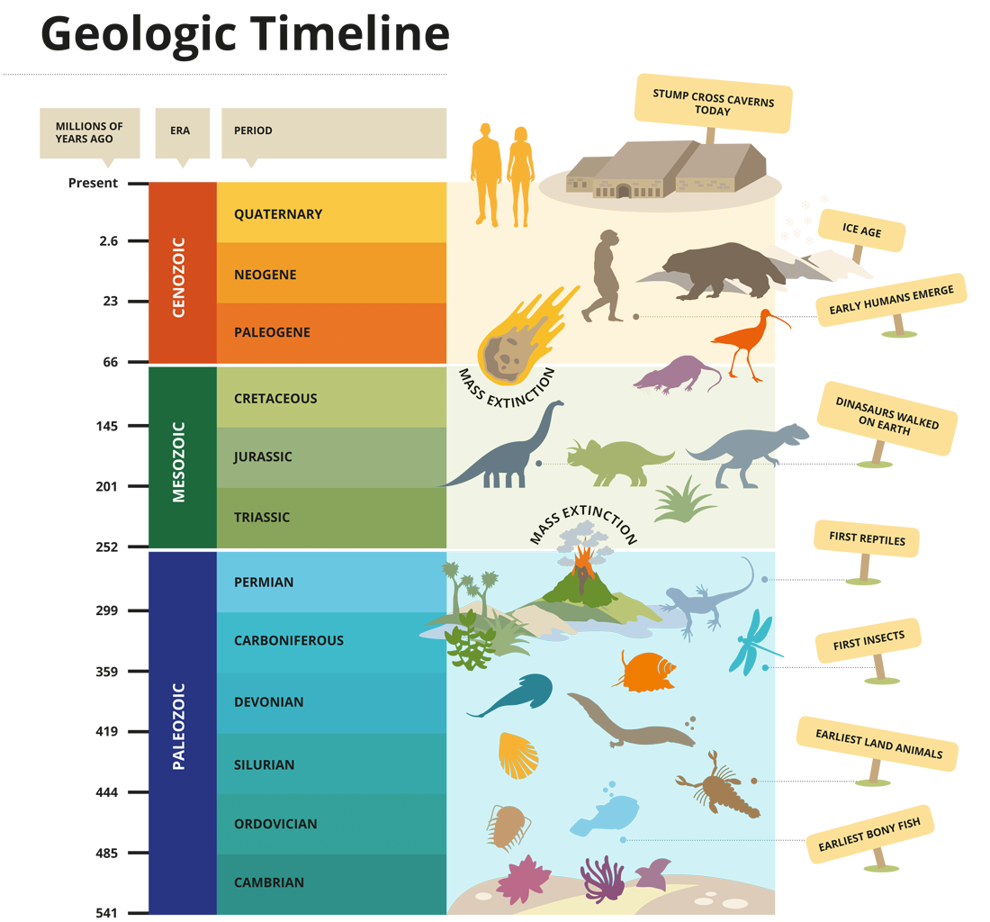 Twofour-Geologic-Timeline-Infographic-1024x1024 Illustrated Geologic Timeline infographic panel