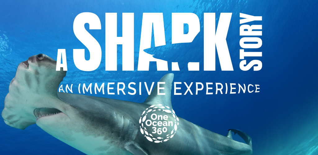 Visual identity for A Shark Story featured with the One Ocean 360 logo identity